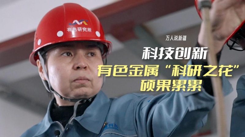 软件测试入门：关键步骤与注意事项